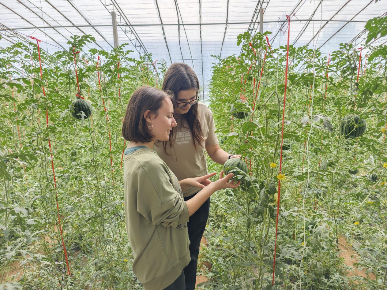 微信图片_20260417104856_394_552