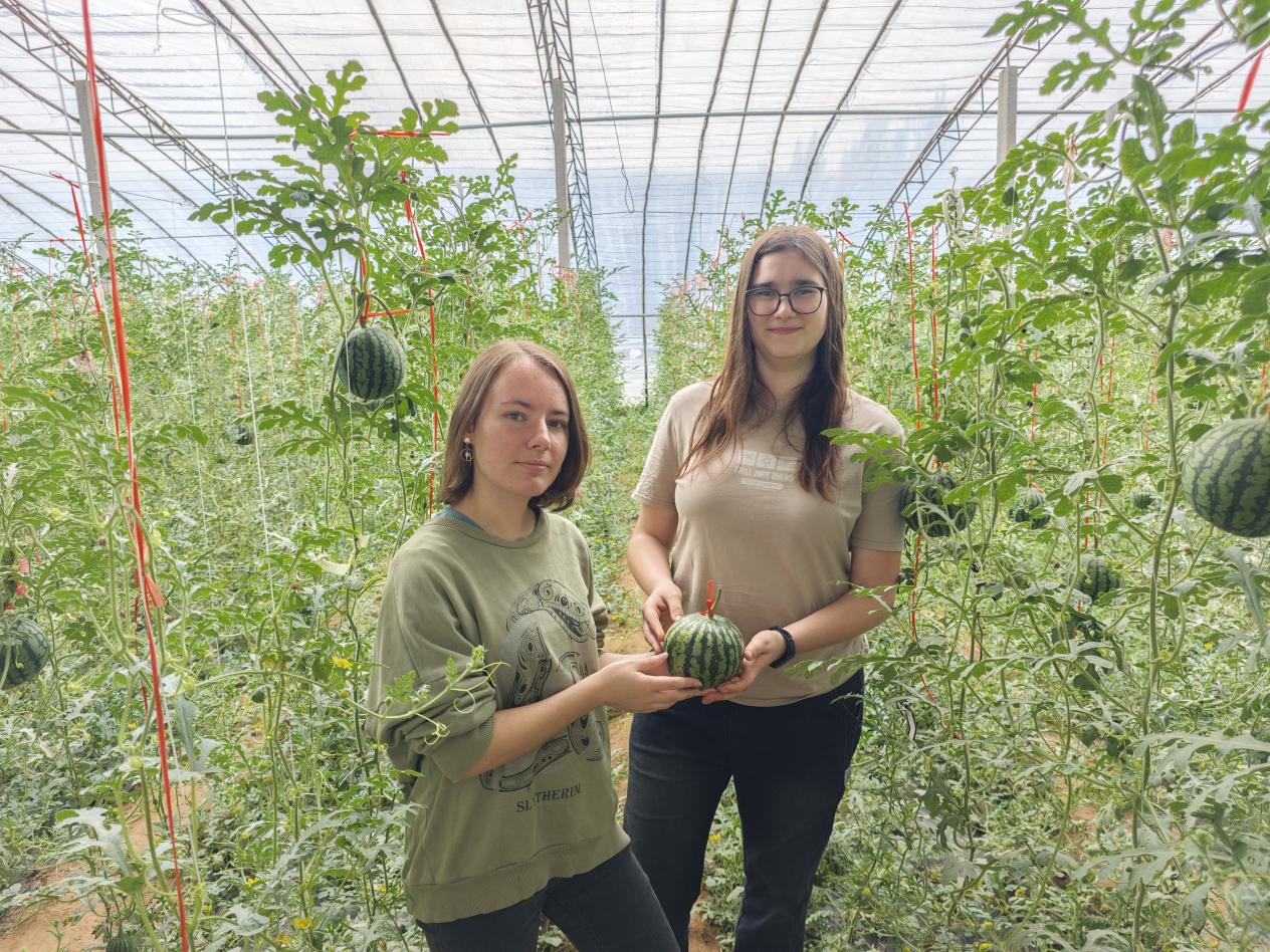 微信图片_20260417104850_392_552